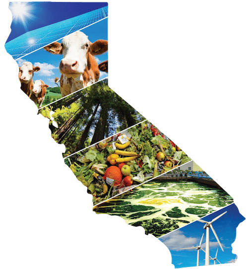 California Sustainability