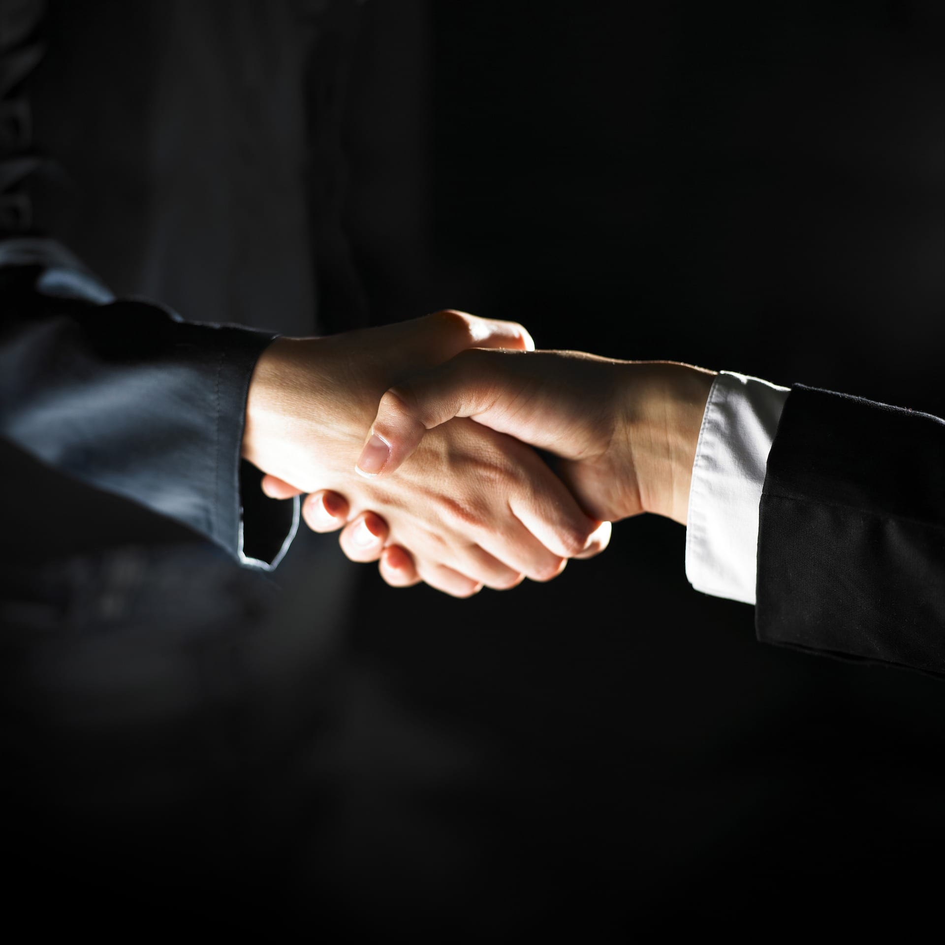 Public-Private Partnerships Handshake