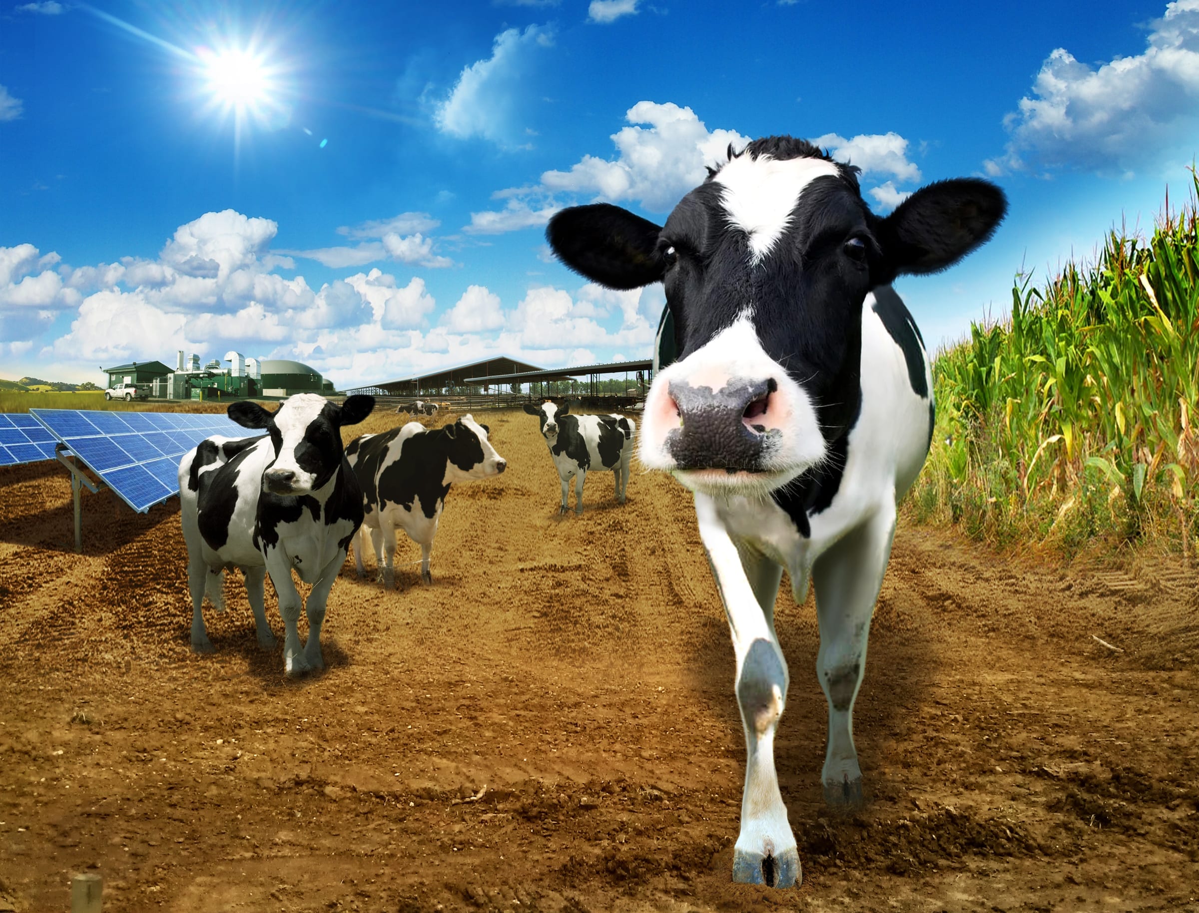 Dairy Industry Sustainability Summit