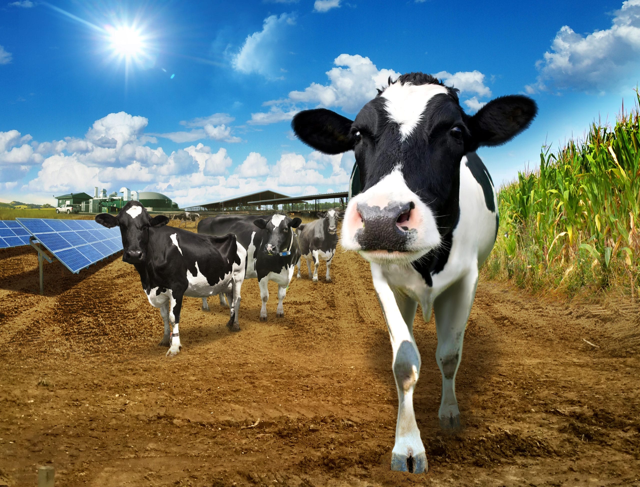 California Dairy Sustainability Summit 2020