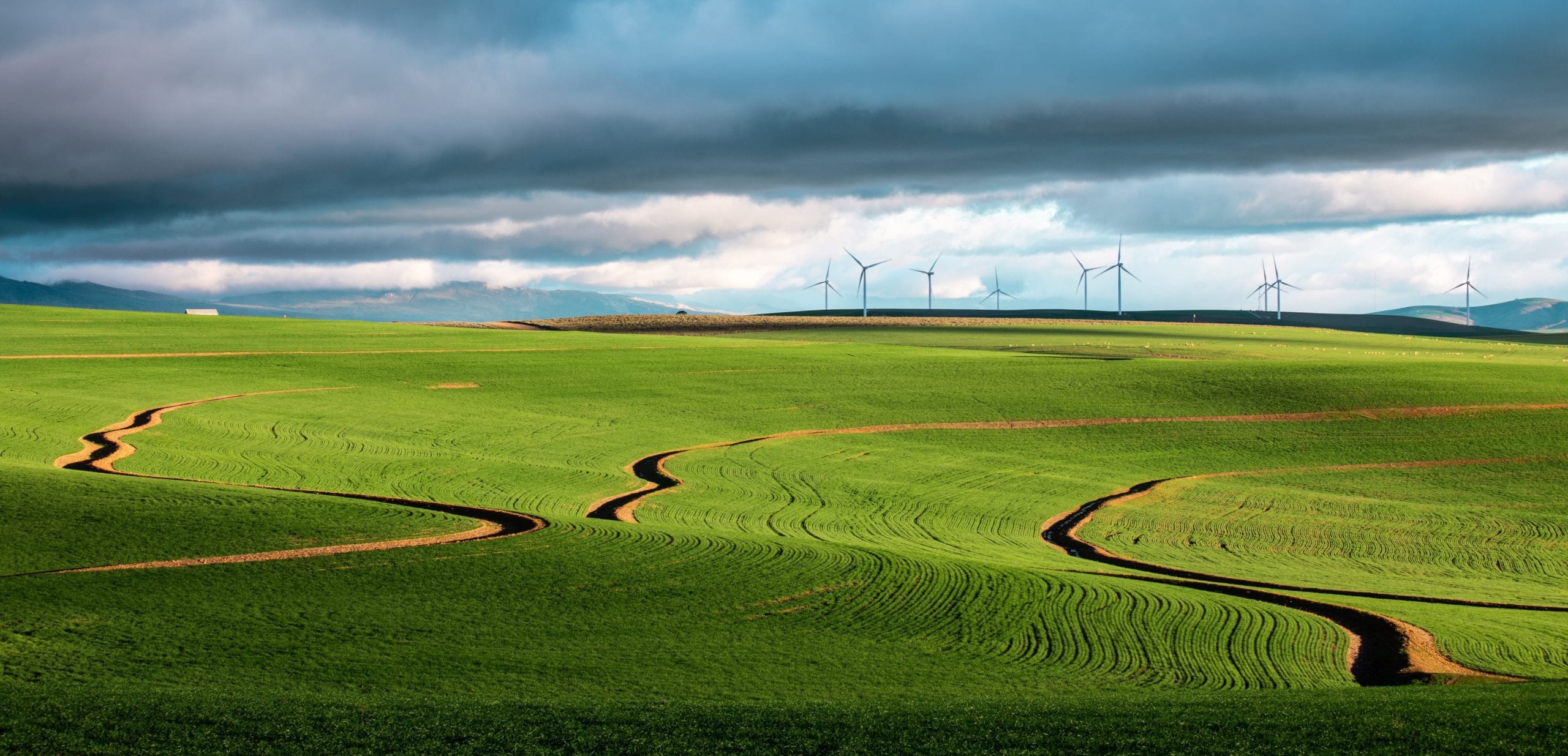 Environmental image of wind turbines