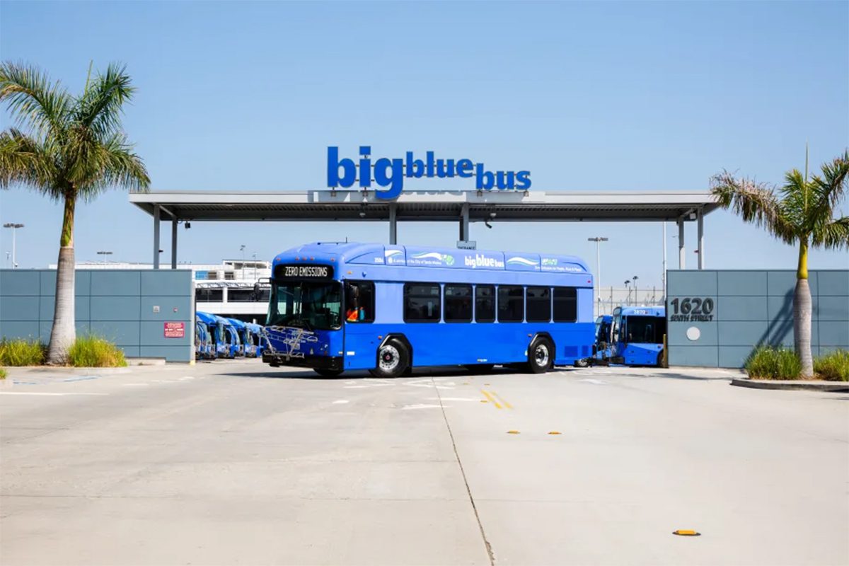Big Blue Bus